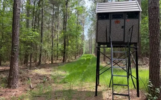 Saline Lake Hunting Property and Lodge Winn Parish LA