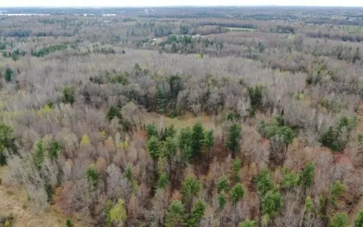 Portage County 40 Acre Hunting and Rec Property for Sale