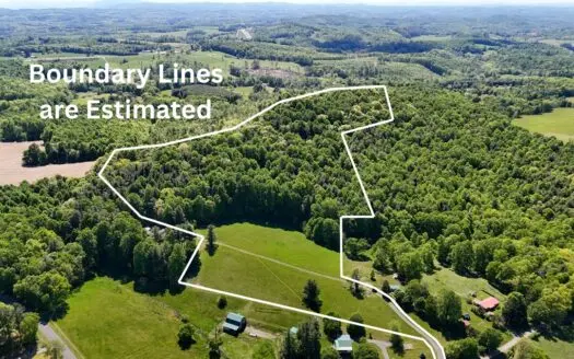 28.87 ac± Located in Patrick County, VA