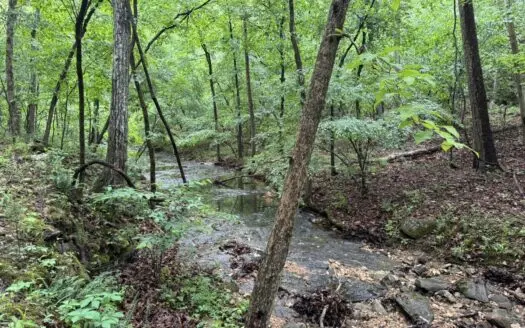 Hunting Land For Sale In North Central Arkansas