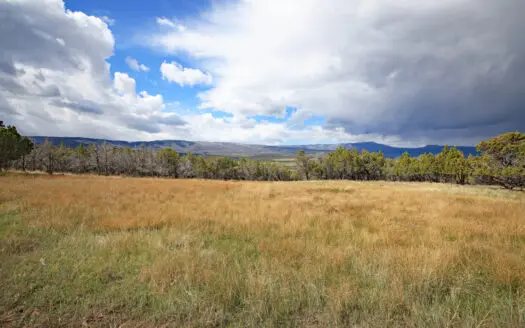 Vacant Land For Sale in Western Colorado with Tiny Home Included