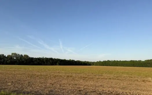 Riverfront Legacy Farm | 700 Acres ± | Land For Sale In Tn