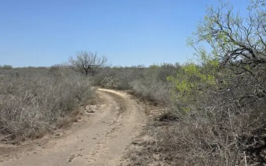 Texas with this 27-acre ranch, where native wildlife and wide-ope