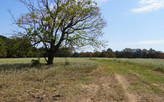 Homestead & Hunting Land Near Robert S. Kerr Lake
