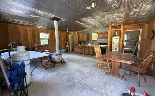 Forest Land And Off Grid Cabin For Sale In Ozark Mountains