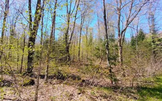 40 Acres Surrounded by 300,000 Acres of Public Land