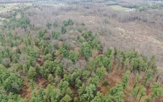 80 Acre Portage County Timber Tract For Sale