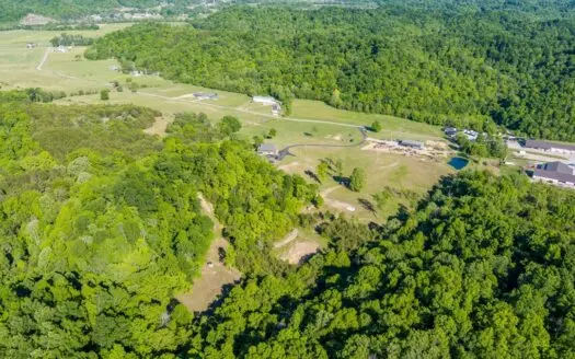 Country Estate on 66+/- acres in Burkesville, KY