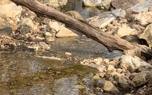 Year Round Spring On 35 Acres Near Lake