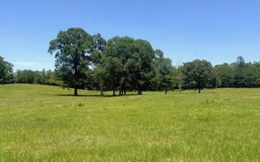 Rolling Hills Pastureland and Wooded land for sale