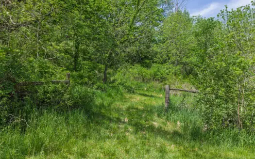 8± Acres with Spring & Cabin Site in Richland County, WI | Driftl
