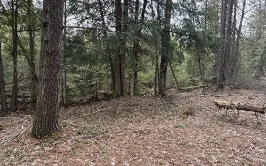 33.5 Acres – Ultimate Hunting Basecamp w/ US-131 Frontage