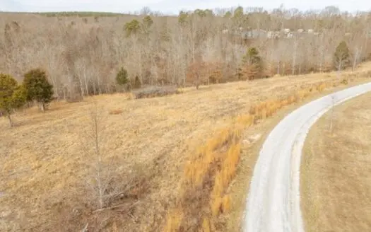 35.39 Acres of land for sale with tons of potential