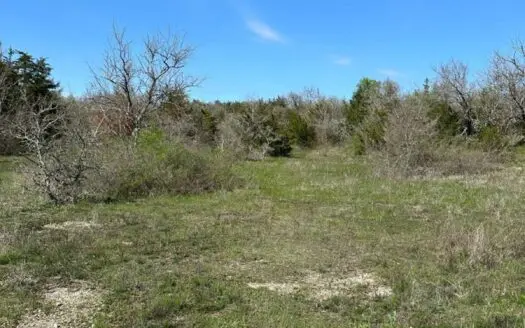 120± Recreational/Hunting Acres for Sale in Valliant, OK