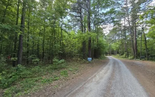 Building Lot – National Forest – Billy Creek Recreational Area