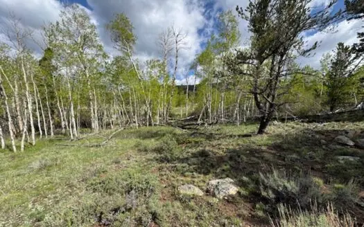Camp or Build Dream Cabin in Crystal Lakes