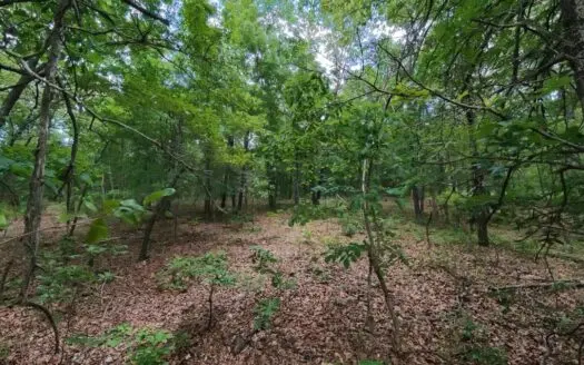 10 Acres of Secluded Ozarks Hunting Land | Mammoth Spring, AR