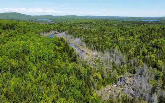20 Acre Parcel with Brook Frontage – Oakfield, Maine