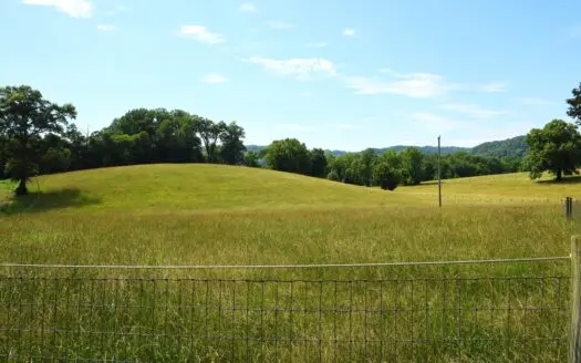 7 Ac, Homesites on Hilltop, Horse-Fenced Pastures, Hunting Remote