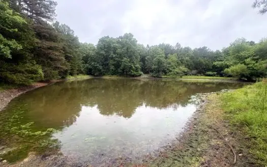 Wooded Hunting Land With Food Plots & Pond Near Salem, MO