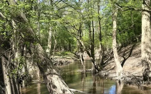 Hardwood hunting land for sale on Ouachita River near Camden, AR