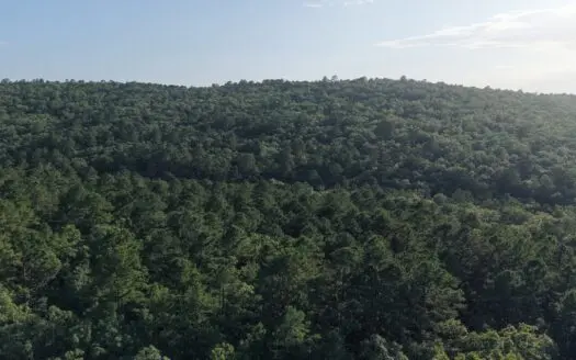 10 Acre Hunting and Mountain Property FOR SALE
