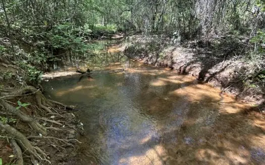 Buck Creek Hunting Retreat | 82 Acres in Autauga County