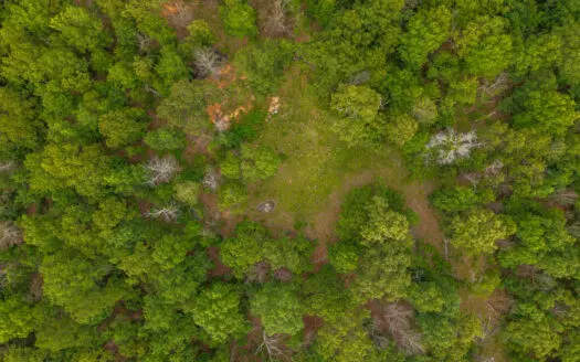Missouri Ozarks Acreage Near Eleven Point River