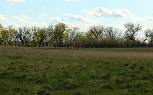Cottonwood Bend Ranch | Milk River | Montana