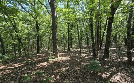 20 Acres on Poteau Mountain: Power, Well & Mature Timber