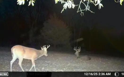 Hunting Land For Sale in Daviess County MO