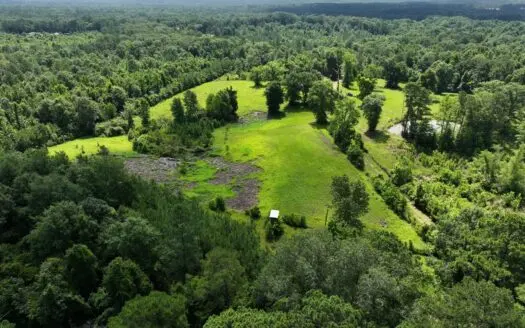 Camp and 61 Acres of Premier Recreational Land Lawrence County MS