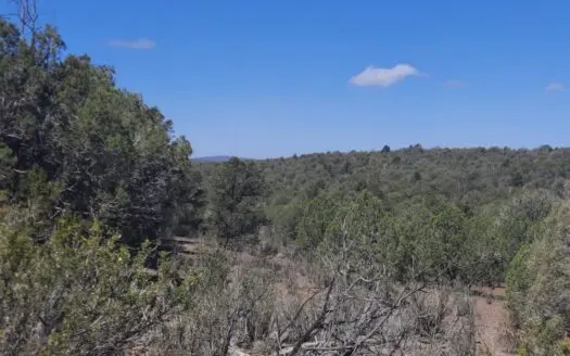 Untamed Northern AZ off grid mountain property