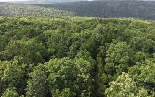 58 Acres FOR SALE in Panola, OK
