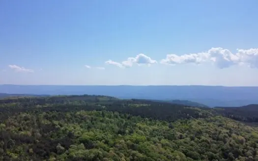 Rare 866± Acre Recreational & Hunting Property in Bledsoe County
