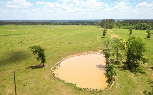 Pasture Land for Sale in Lincoln County, MS