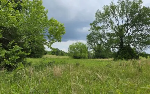 30 Acre Farm W/ A Nice Build Site, Mountain Views & Great Hunting