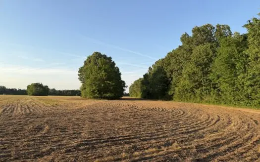 Riverfront Legacy Farm | 700 Acres ± | Land For Sale In Tn