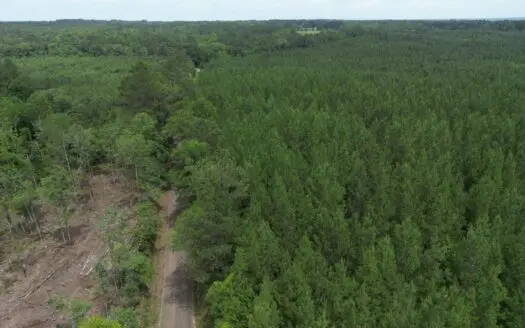 73+- Acres of Plantation Pines Pike County MS