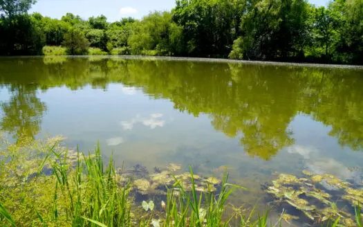Lincoln County Recreational Homesite, Pond And Acreage For Sale