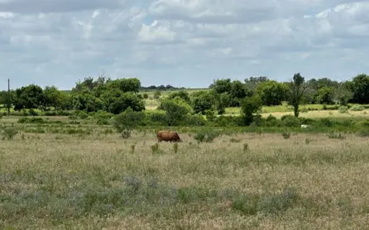 Gated Comanche Texas Land with Horse Allowed