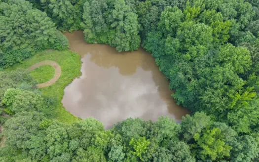 147 Acre Hunting Farm in Weakley County TN with Timber
