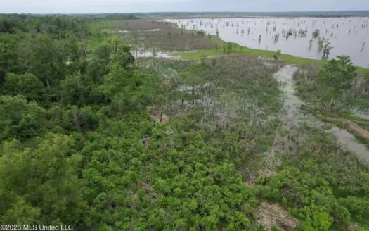 88 Acre Hunting Property – Wilkinson County, MS