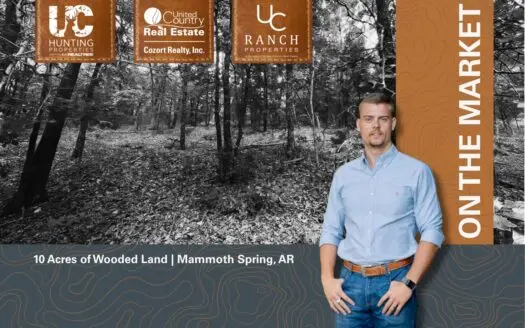 10 Acres of Secluded Ozarks Hunting Land | Mammoth Spring, AR