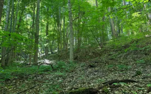 Log Cabin on 40.75 Acres In Unicoi County, Tennessee
