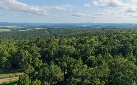 70 Acre Hunting Property FOR SALE