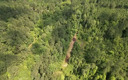 200 acres Franklin County MS Hunting Land Timber Investment