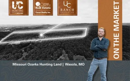 Missouri Ozarks Hunting Land | Wasola, MO