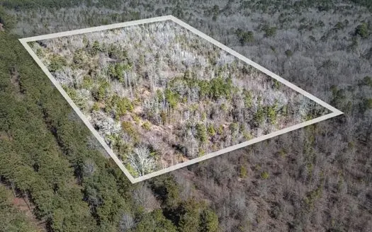 East Texas Hunting Land/Timberland in Naples Texas