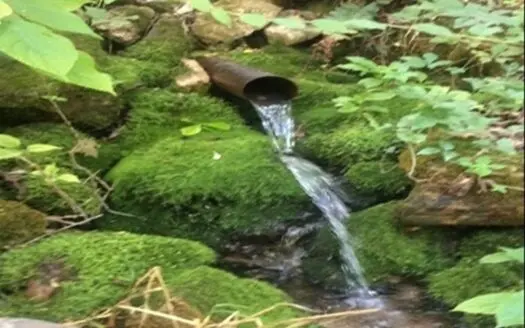 Year Round Spring On 35 Acres Near Lake